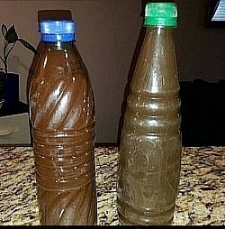 LOWER RESPIRATORY INFECTIONS HERBS