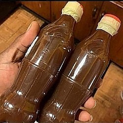 HUMAN PAPILLOMA VIRUS HERBS